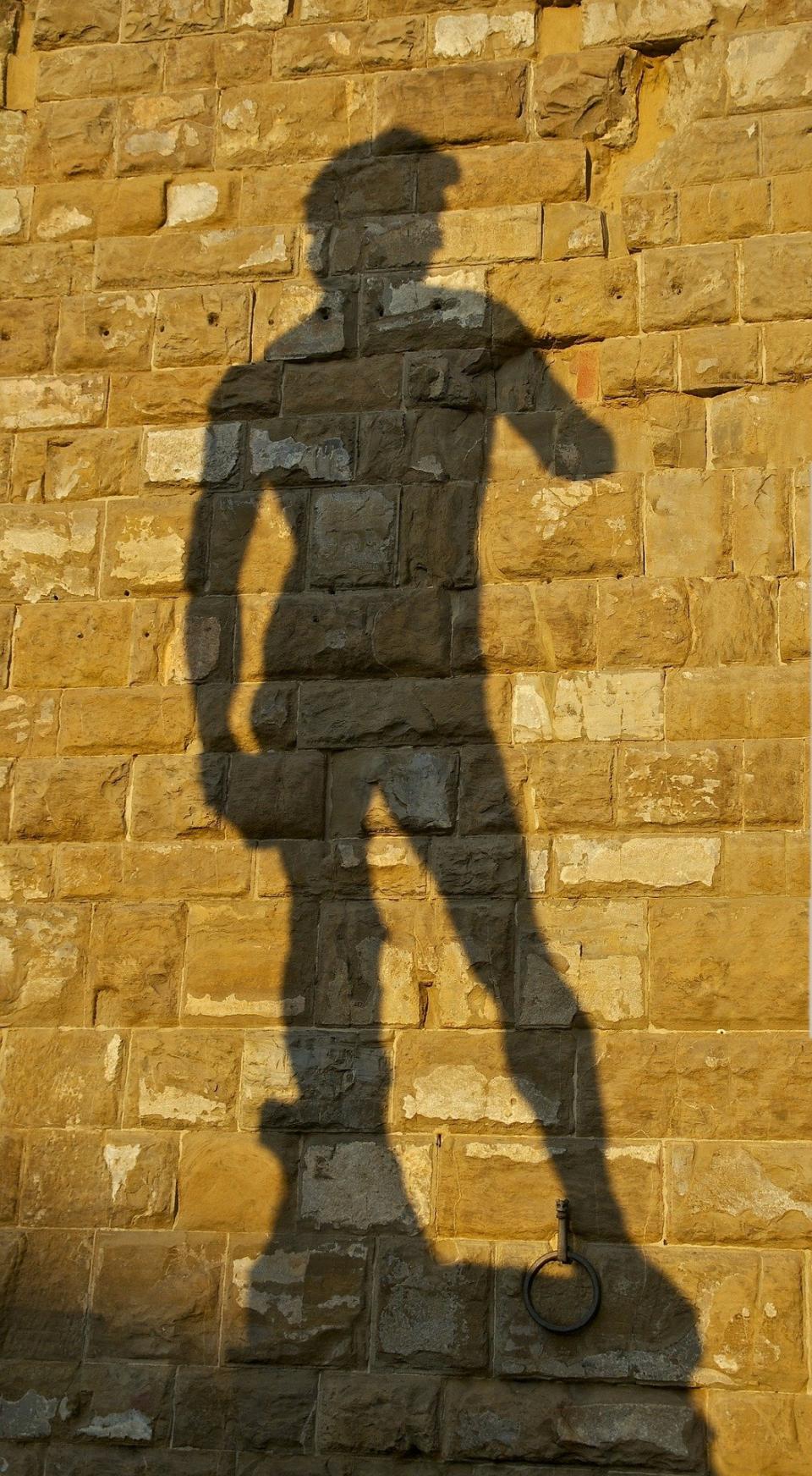 Silhouette of Michelangelo's 