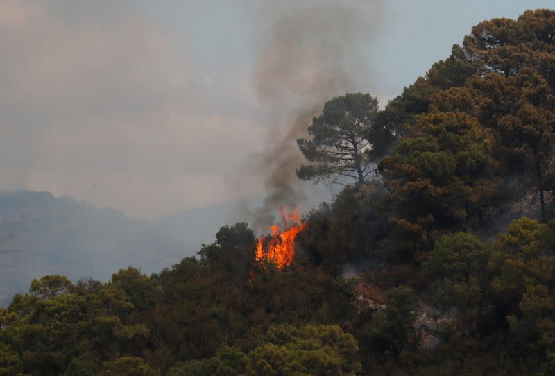 Firefighters battle wildfire burning Sierra Bermeja mountain