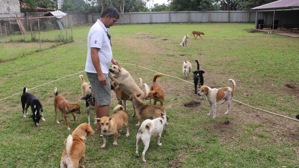 Frank Manus, who manages an Indonesian animal rescue organization