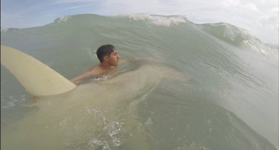 Brandon Griffin holding a hammerhead shark as he guides it out to sea through waves in south Florida..