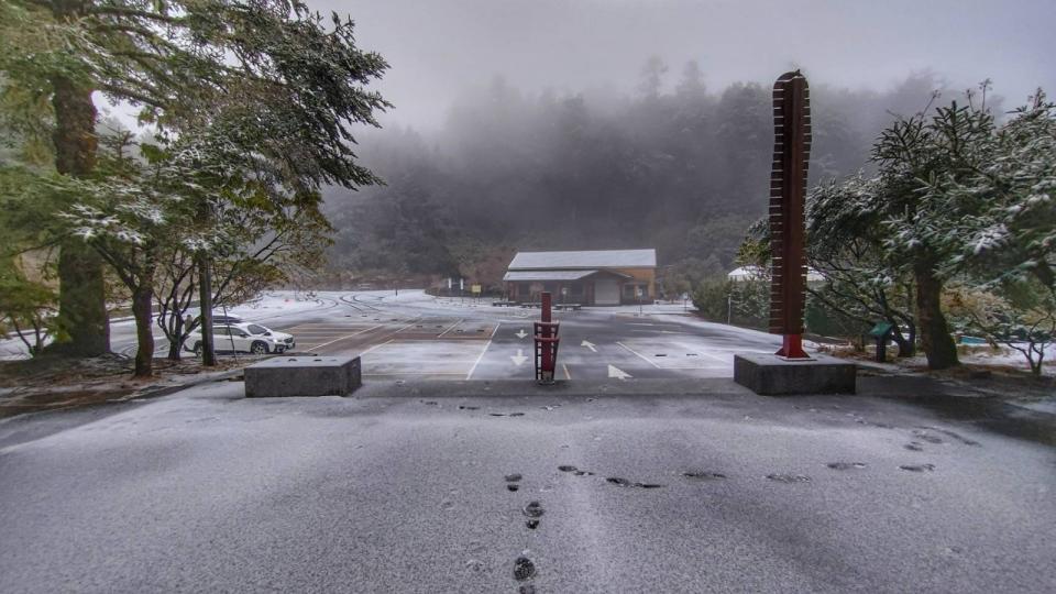 大雪山今日清晨6點多下雪，49k積雪。林業及自然保育署南投分署提供