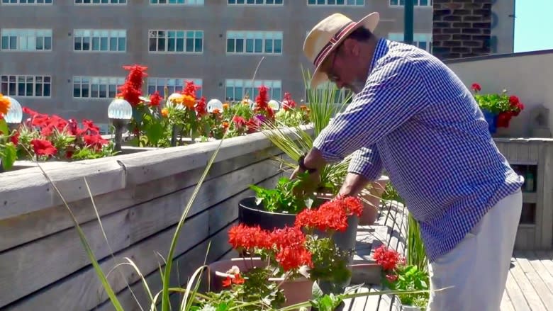 'It's my yoga, it relaxes me': Rooftop veggie garden provides salads and serenity