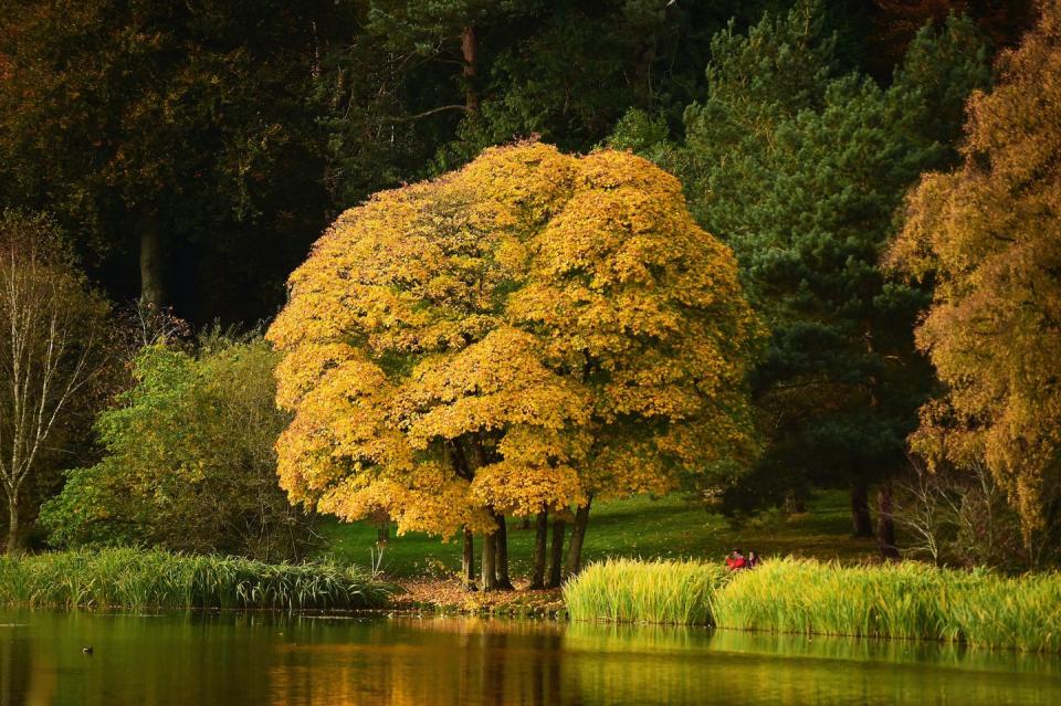 Photo credit: The National Trust/Jon Bish