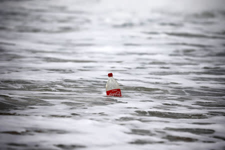 A plastic bottle floats in the Mediterranean Sea, at Zikim beach near the southern city of Ashkelon, Israel February 10, 2019. REUTERS/Amir Cohen