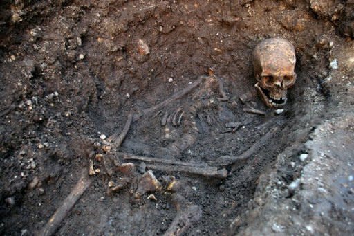 El esqueleto del rey Ricardo III de Inglaterra, en el lugar donde fue hallado, en una imagen divulgada este lunes por la Universidad de Leicester. El esqueleto hallado bajo un estacionamiento de la ciudad británica resultó ser del rey inglés, muerto en 1485 en el campo de batalla e inmortalizado como un gran villano por el dramaturgo William Shakespeare. (AFP | -)