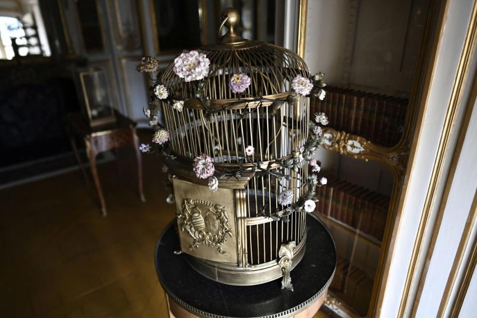 <div class="inline-image__caption"><p>A birdcage at the renovated apartment of Madame du Barry in Versailles.</p></div> <div class="inline-image__credit">Stephane De Sakutin/AFP via Getty Images</div>