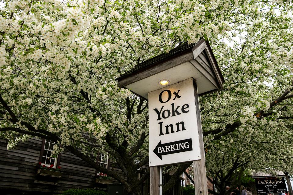 A tree blooms in front of the Ox Yoke Inn restaurant during Maifest, Saturday, May 6, 2023, in Amana, Iowa.