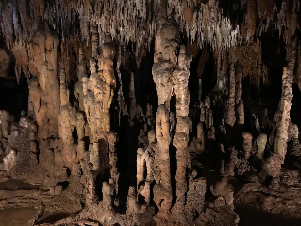 Florida Caverns State Park in Marianna is one of the few state parks with dry, or air-filled, caves and is the only state park in Florida to offer cave tours to the public. The caverns are filled with limestone formations, including stalactites and stalagmites.