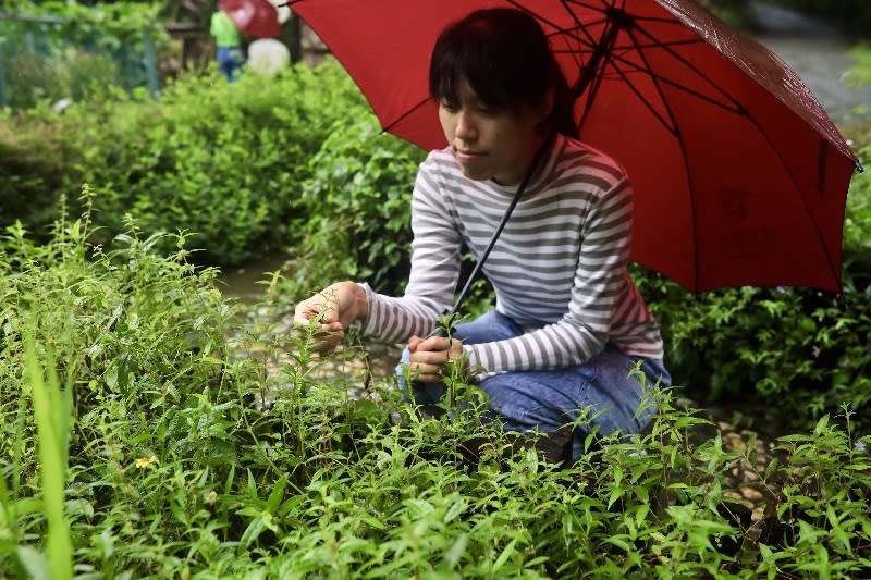 ▲ 頭城休閒農場強調「靠山吃山、靠海吃海」的在地智慧。