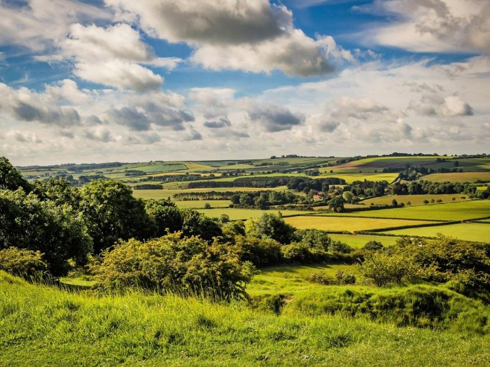 Summer landscape viewed from Red Hill In Lincolire Wolds (Getty/iStock)