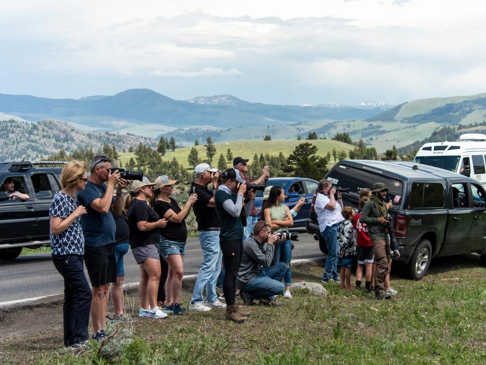 Yellowstone National Park visitors stand on the left side watching black bears (not pictured) with the road, some cars, mountains, and cloudy skies behind them.