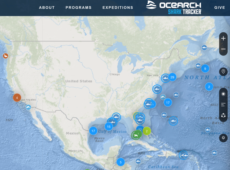 OCEARCH’s shark tracking website view.