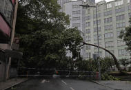 <p>A fallen tree caused by typhoon Hato lies at a street in Hong Kong, Wednesday, Aug. 23, 2017. (Photo: Vincent Yu/AP) </p>