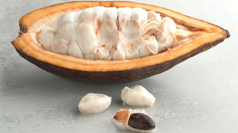 Cacao flesh with exposed seed