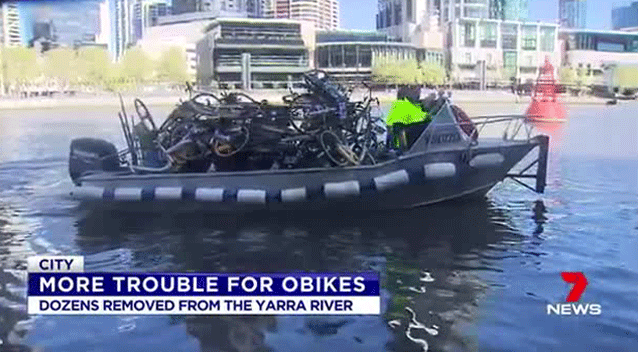 Contractors pulled out over 40 bikes as they struggled to fit them all on their boat. Source: 7 News