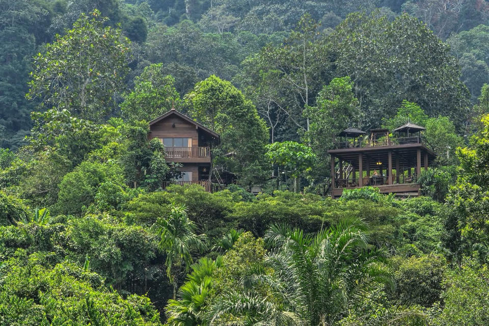 Checking in: Airbnb in a Malaysian rainforest