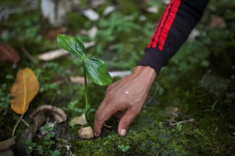 In Colombia, killing of environmentalists chills conservation efforts