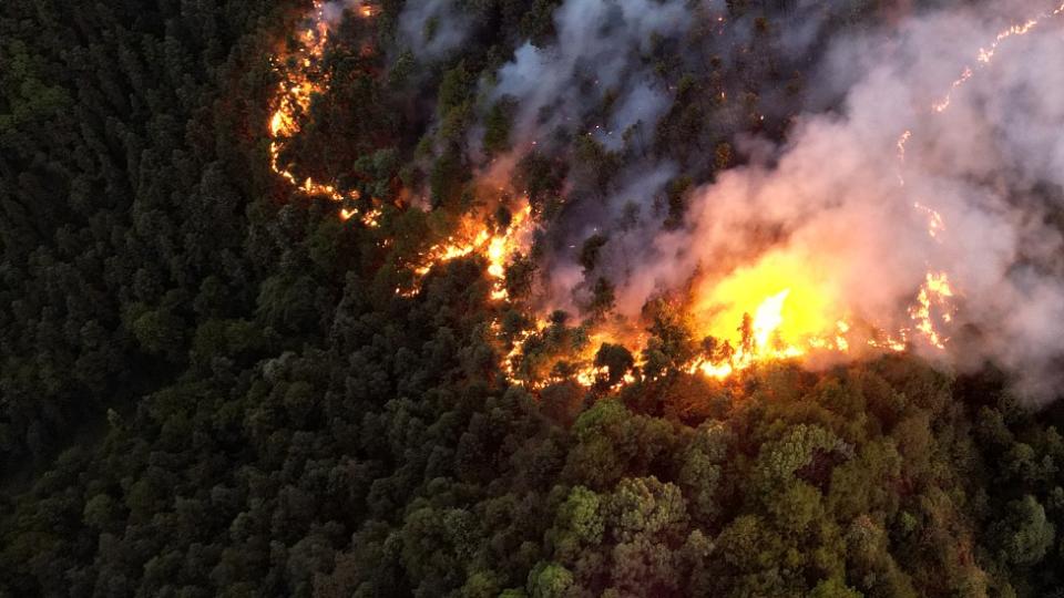 Incendio forestal