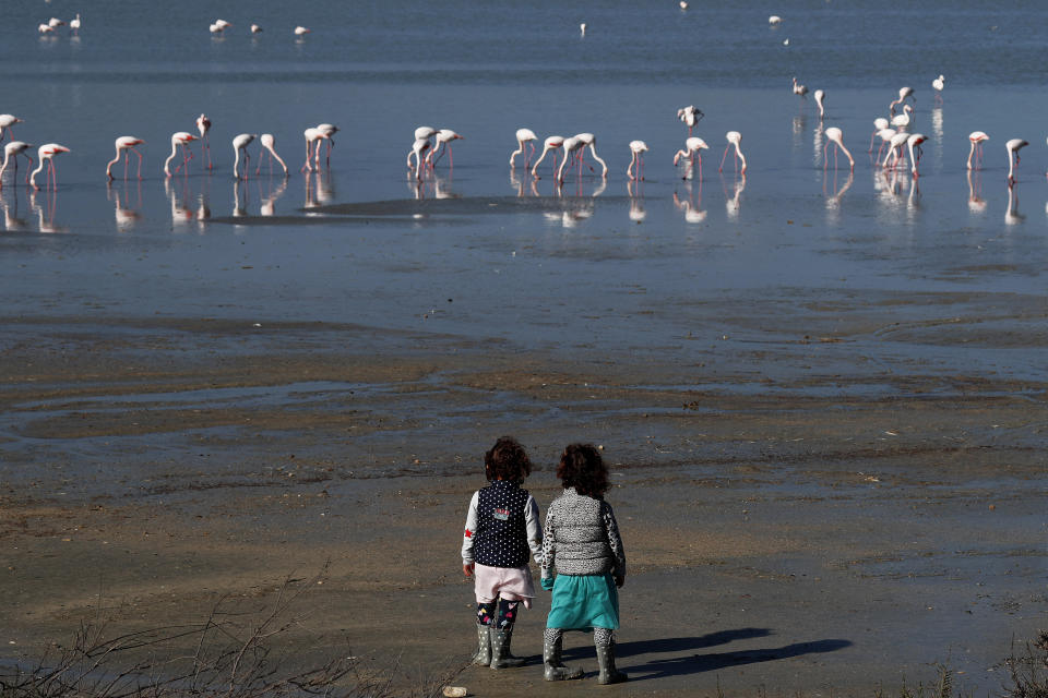 Two children stand and watch the flamingos at a salt lake in the southern coastal city of Larnaca, in the eastern Mediterranean island of Cyprus, Sunday, Jan. 31, 2021. Conservationists in Cyprus are urging authorities to expand a hunting ban throughout a coastal salt lake network amid concerns that migrating flamingos could potentially swallow lethal quantities of lead shotgun pellets. (AP Photo/Petros Karadjias)