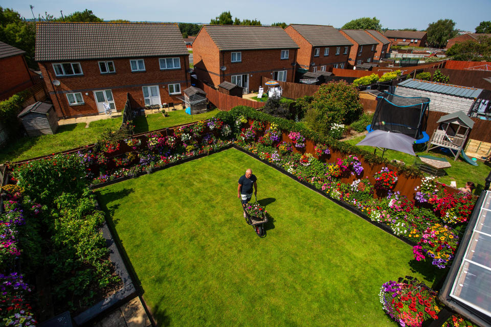 Meet the amateur gardener who fills more than 100 hanging baskets and pots in his small suburban garden with nearly 1,000 stunning plants every year. Shaun Schroeder, 57, spends up to three hours a day planting, tending, dead-heading and watering his stunning collection of petunias and other assorted flowers. He spends four months growing almost all of his 900 plants from seed, before potting them out in May, during a mammoth week-long planting session. They sprawl across 120 hanging baskets and tubs that cover every inch of his modest 4m wide garden at the back of his semi detached home in Whitchurch, on the outskirts of Bristol.