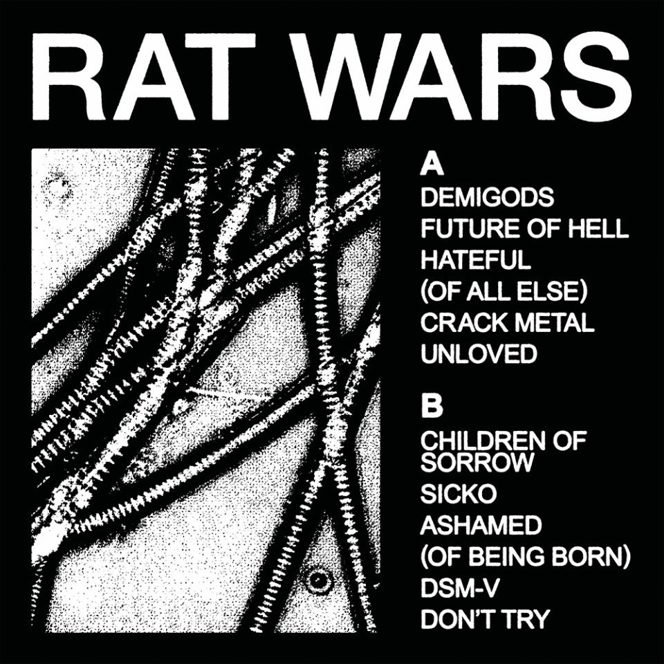 health rat wars art