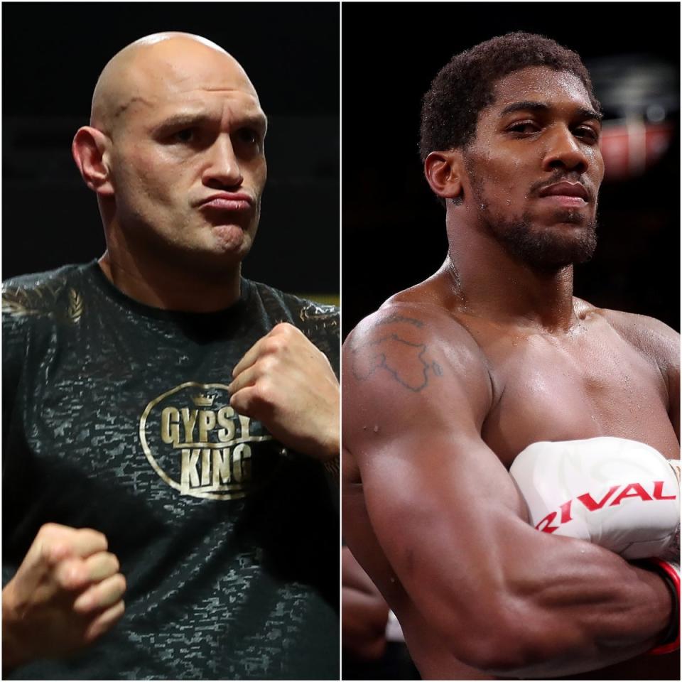 Tyson Fury could still fight Anthony Joshua (PA)