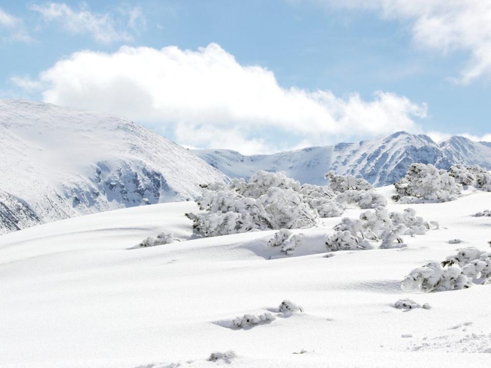 The ski resort of Borovets is 1,390m above sea level (Getty Images/iStockphoto)