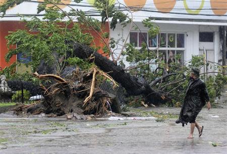 A man walks past a tree uprooted by strong winds brought by super Typhoon Haiyan that hit Cebu city, central Philippines November 8, 2013. REUTERS/Zander Casas