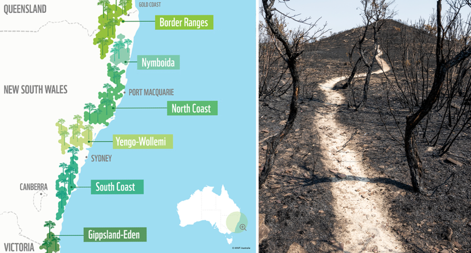 Left - a map of the areas that EDO and WWF want protected. Right - a burned hill.