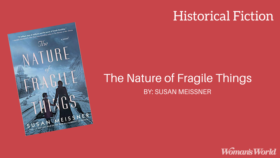 The Nature of Fragile Things by Susan Meissner