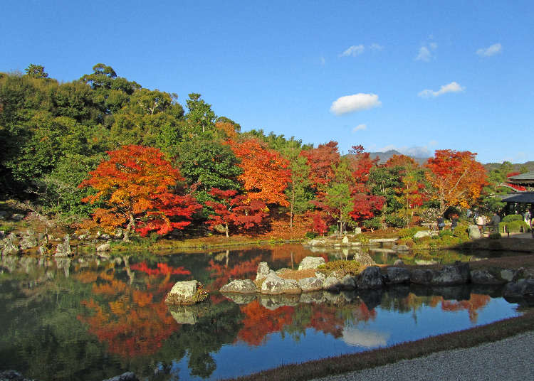 The Perfect 4-Day Japan Plan: Must-See Spots of Kyoto, Osaka, Nara, and Kobe!
