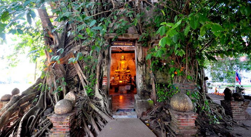 樹中廟是泰國「十大靈廟之一」，為大佛貼金箔可消除自己的痛症。