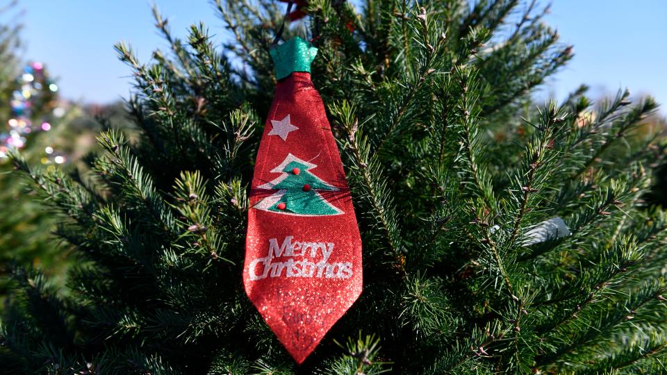 A decoration adorns a tagged Christma tree at Exley’s Christmas Tree Farm in Sewell on Saturday, November 11, 2023.
