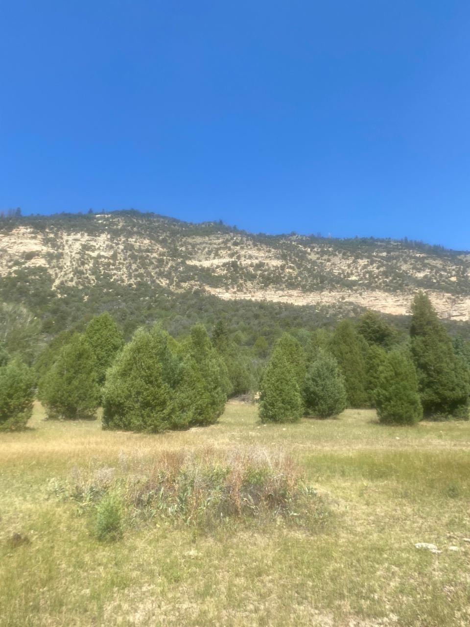 The view looking southeast from where the woman was found.