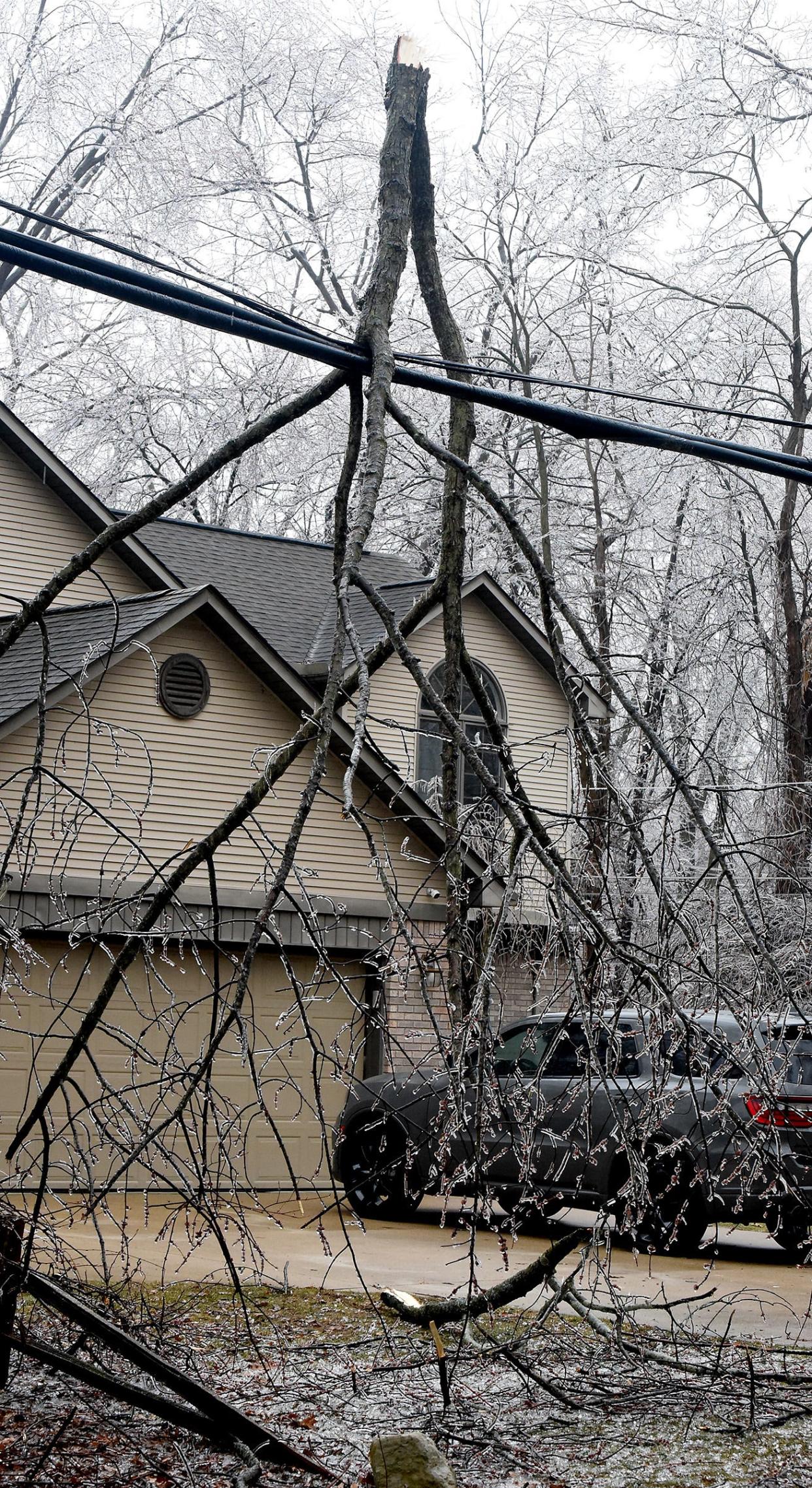 A tree limb hangs over the wires off Hurd Road in Frenchtown Township after an ice storm in February.