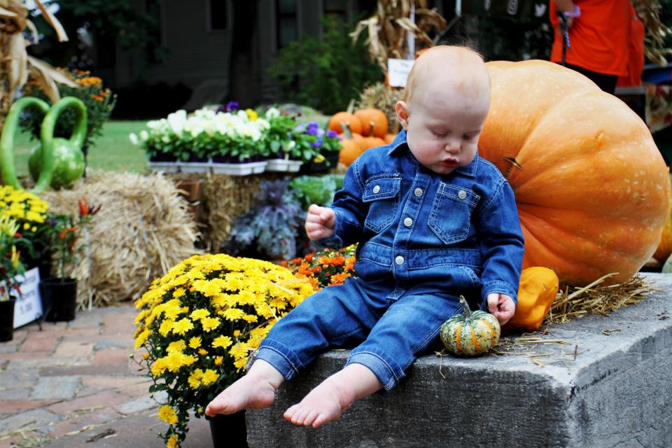 Ten-month-old Easton Fitzgeralds inspects a pumpkin at the 22nd annual Cider Days in Springfield, Mo., on Sept. 22, 2019. Last year's event was canceled because of the coronavirus pandemic, but the event is returning this year from Sept. 18-19.