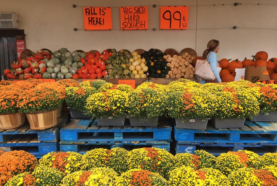 Detwiler's Farm Market on Clark Road has a large display of pumpkins, squash and mums, along with a sign proclaiming "Fall is here!"