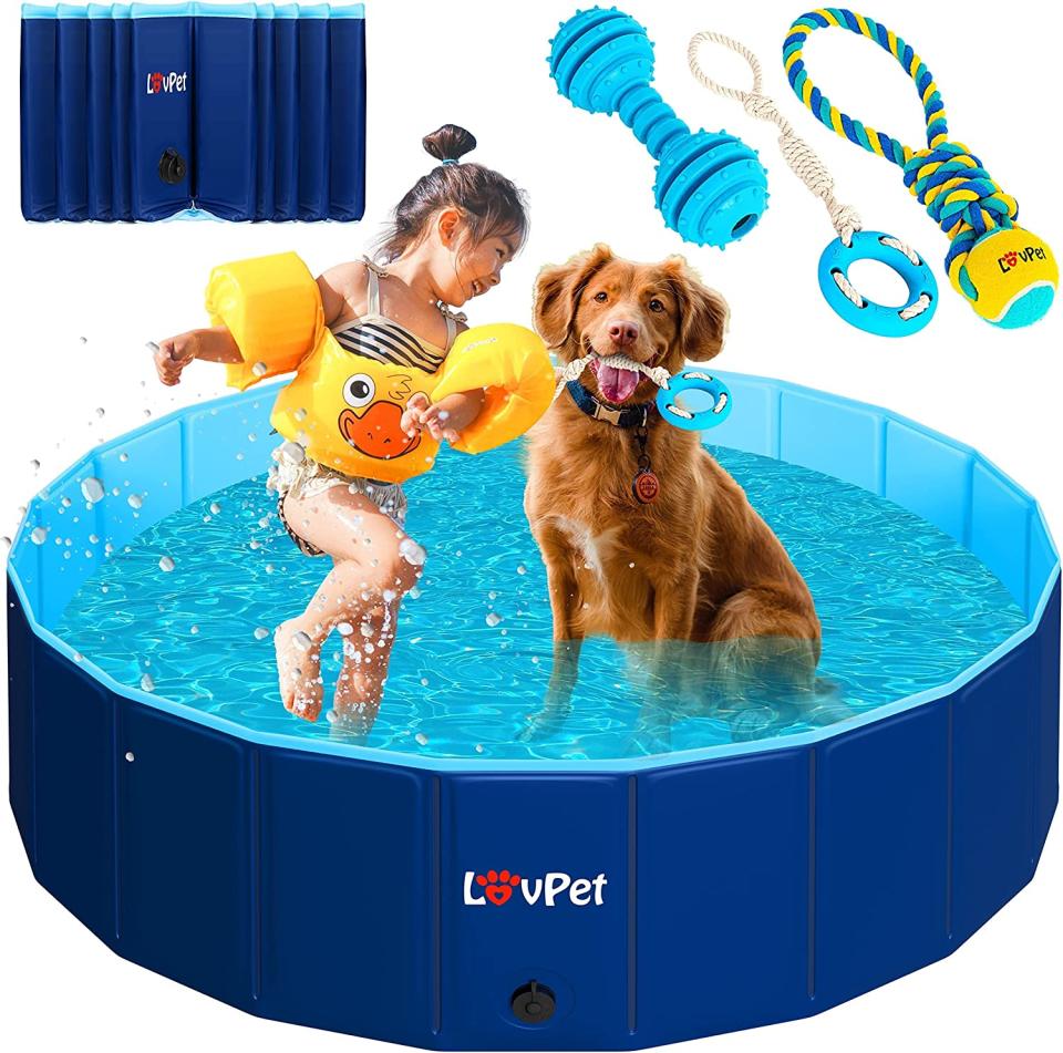 Piscine pour animaux de compagnie