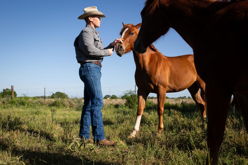 James Clement III pets mare "Peanut Butter" while she begs for treats on Friday, March 29, 2024, in Kingsville, Texas. Clement's American Quarter Horses are King Ranch crossed with North Texas' Biggs Cattle Company cattle horse lines. They graze full-time in pastures with his cattle.