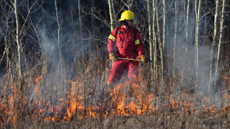 As the 'red forest' encroaches, Jasper steps up measures to protect itself from wildfire