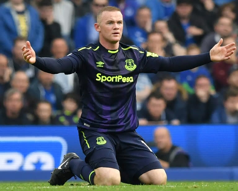 Everton's English striker Wayne Rooney appeals for a free kick during the English Premier League match against Brighton and Hove Albion in Brighton, southern England on October 15, 2017