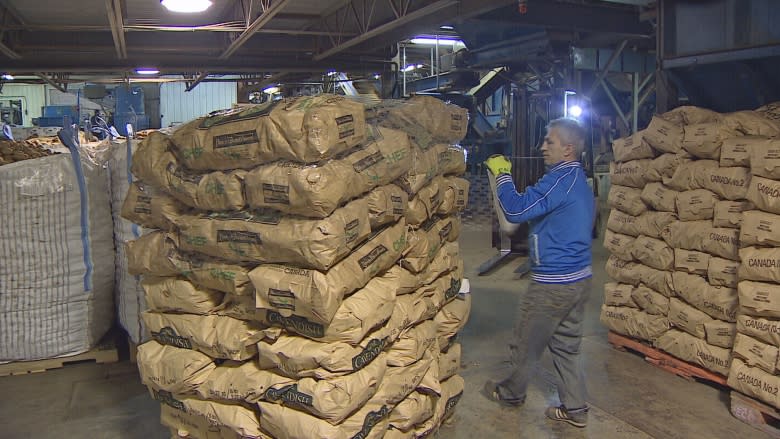 Potato shortfall leaves some fry shacks short of essential ingredient