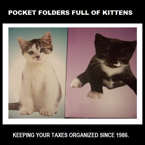 Cats are already old hands at office and school supplies