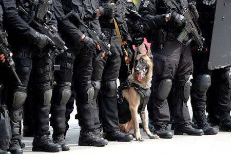 Indonesia Kopassus special forces soldiers stand with a dog after an anti-terror drill ahead of the upcoming Asian Games in Jakarta, Indonesia August 1, 2018. REUTERS/Beawiharta