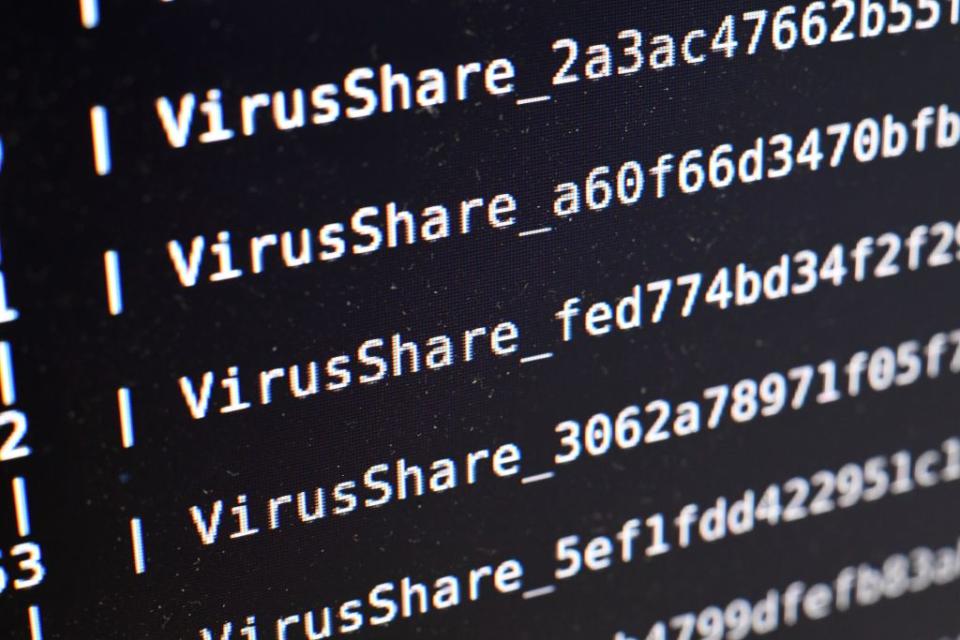 Secondo le indagini sono circa 88 le aziende finite nella rete del virus (Getty)