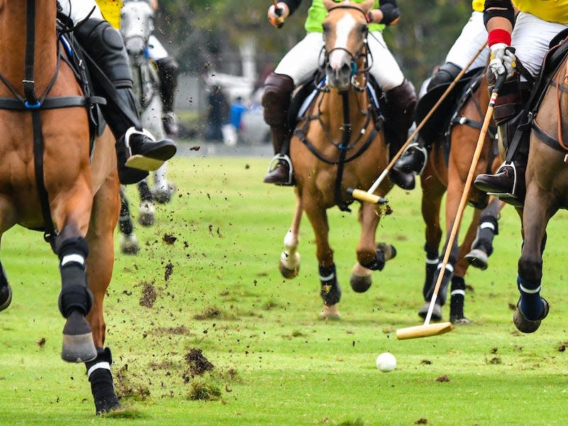 A polo match.