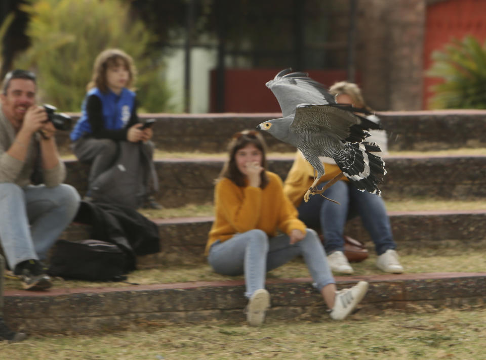 Visitors watch a bird in flight at the bird sanctuary Kuimba Shiri, near Harare, Zimbabwe, Wednesday, June, 17, 2020. Kuimba Shiri, Zimbabwe's only bird park, has survived tumultuous times, including violent land invasions and a devastating economic collapse. Now the outbreak of COVID-19 is proving a stern test. With Zimbabwe’s inflation currently at more than 750%, tourism establishments are battling a vicious economic downturn worsened by the new coronavirus travel restrictions. (AP Photo/Tsvangirayi Mukwazhi)