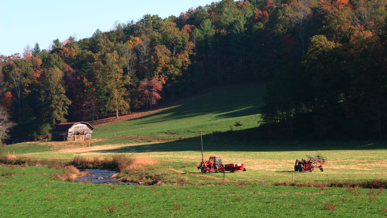 Barn in field with a touch of fall near Ellijay Georgia.
