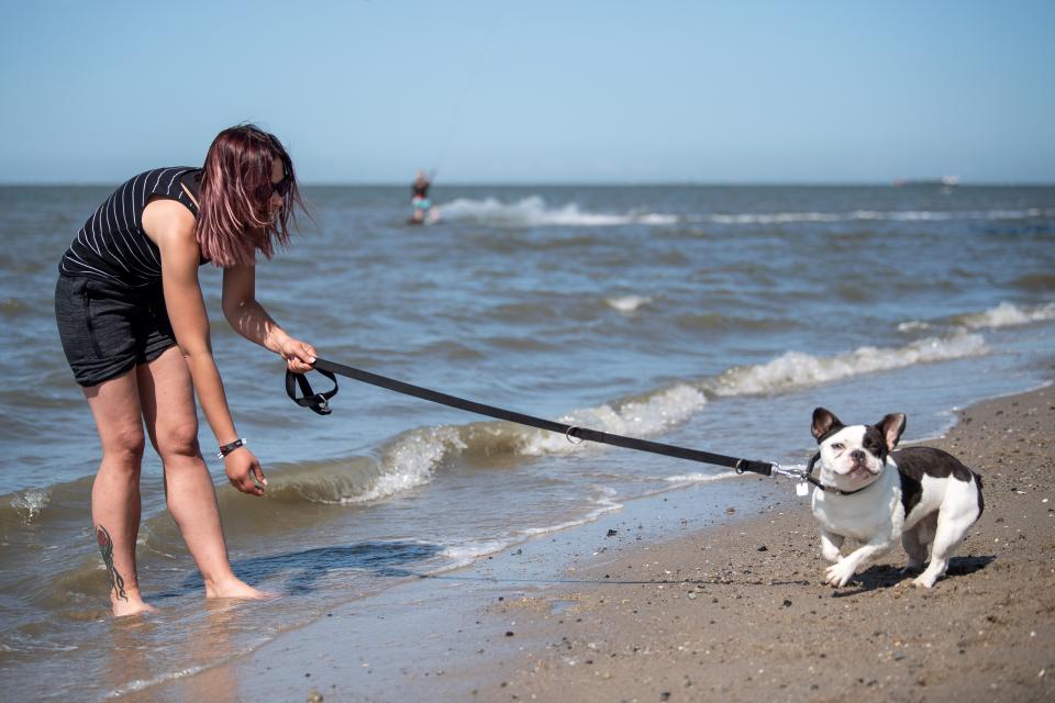 Jenny from Bavaria tries to lure the water-shy dog Tyson into the North Sea. (Photo: Sina Schuldt/picture alliance via Getty Images)