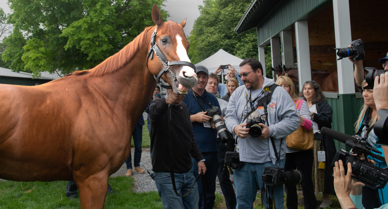 <span class="s1">Triple Crown winner Justify after his historic win at Belmont Park. (Photo: Bryan Smith via ZUMA Wire)</span>